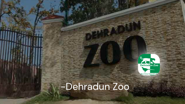 Dehradun Zoo Counter Ticketing Case Study
